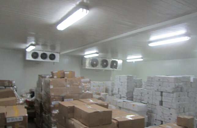 　-18℃海產品冷凍庫安裝，700平冷凍庫造價
